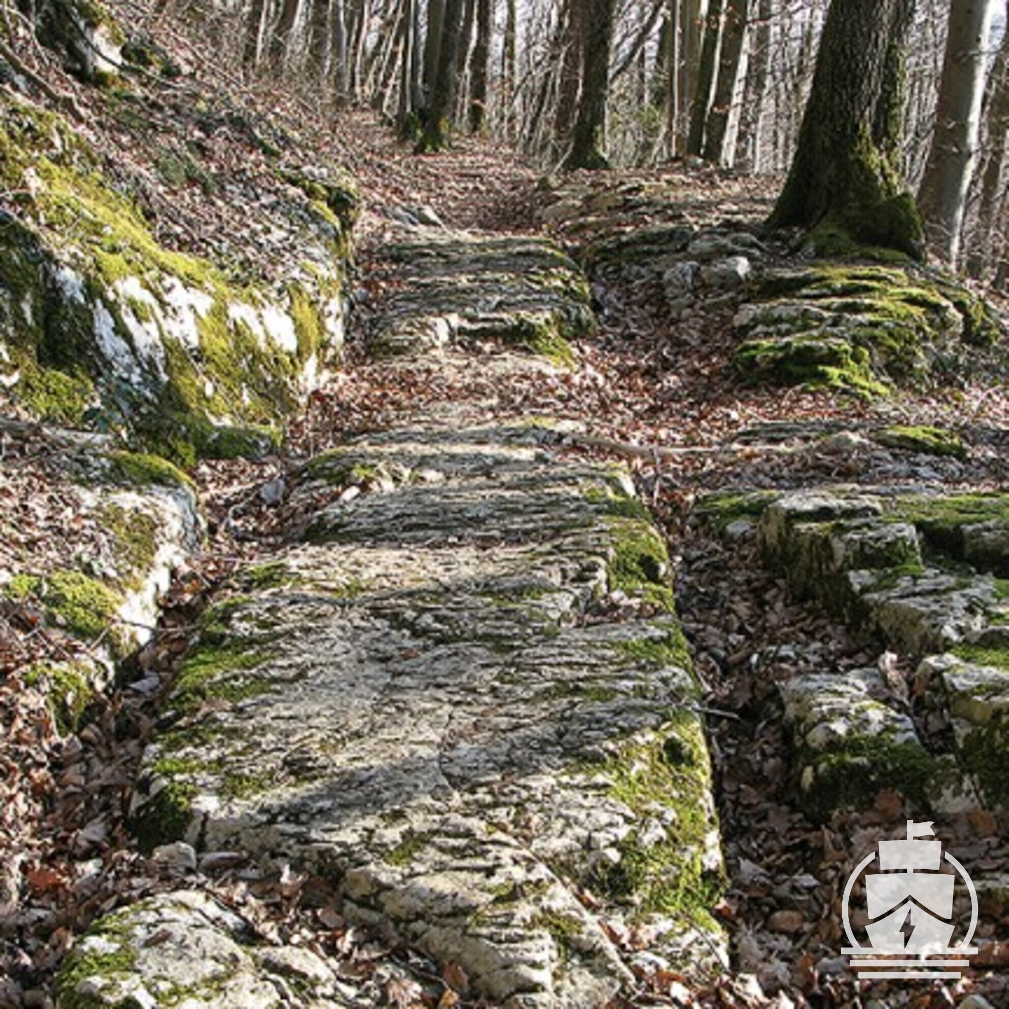 19: Romantically Shitting on Paywalls w/ Pablo