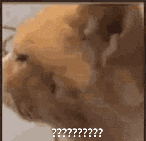 https://haven.dergigi.com/4de69fd485ba3272d4e5cf1e1721f54598c0c0f6b43d200a109bb81f540d3155.gif